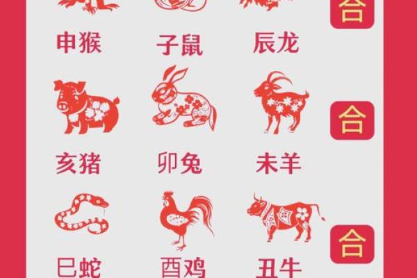 6合属相 6合属相合生合克