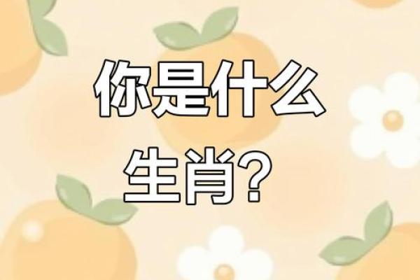 平心静气代表什么生肖？探寻性格最温和的属相
