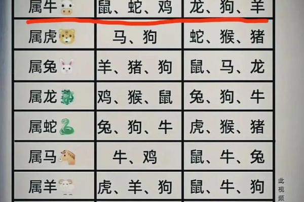 属龙女跟什么属相最配对 属龙女和属羊男婚姻相配吗