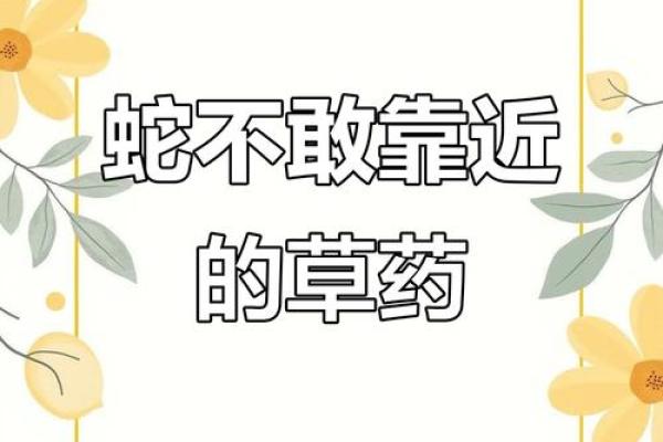 ‌面目一新打一生肖 → 蛇‌（蛇蜕旧皮，焕然新生）
