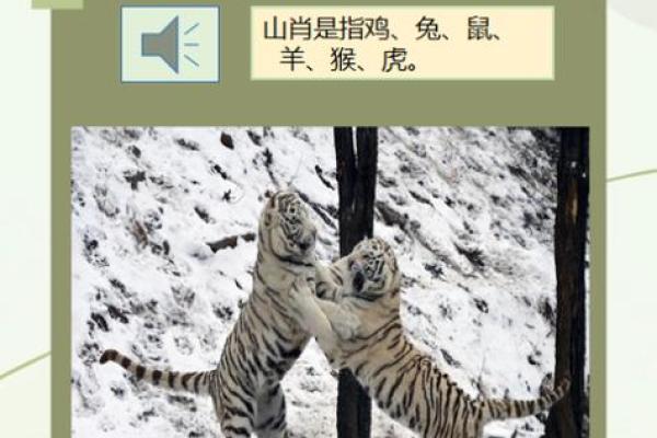 十二生肖哪几个生肖最好 十二生肖哪几个生肖最好运