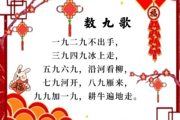 99号是什么节日(9月9号是什么节)