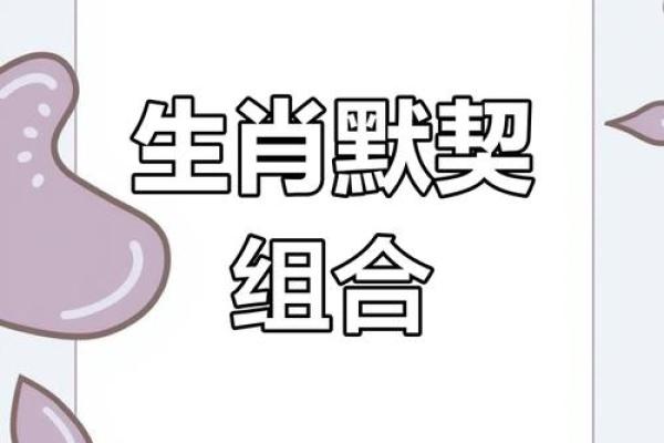 龙和鼠的婚配属相好吗 鼠的婚配属相最佳配对表