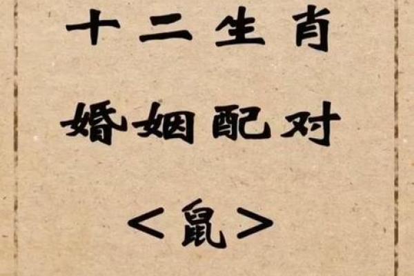 蛇年属鼠人的感情运势详解，与伴侣相处有何建议和得把眼睛擦亮了