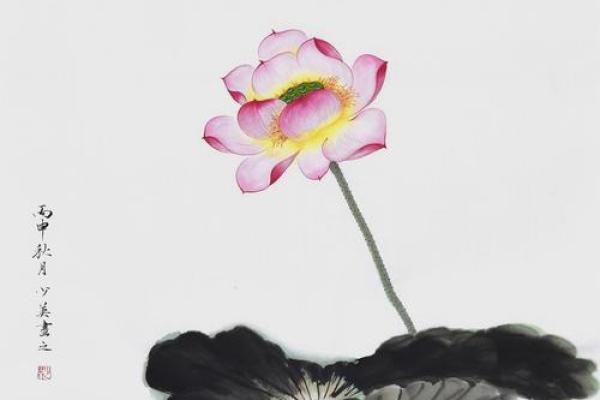 荷花图挂在家里哪个位置好 荷花图可以挂在家里吗
