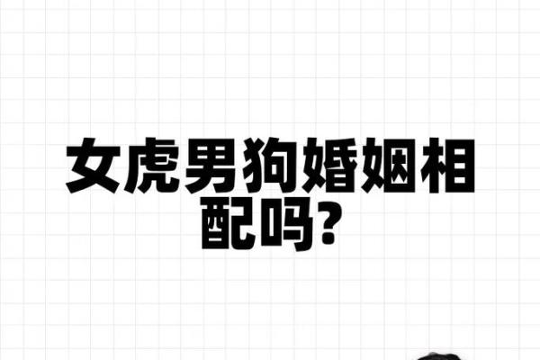 男猴和女虎的属相合不合 男猴和女虎其实非常配