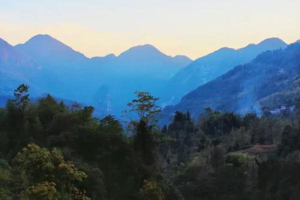 ‌得天独厚的生肖 → 龙（龙承天泽，独厚灵物）‌