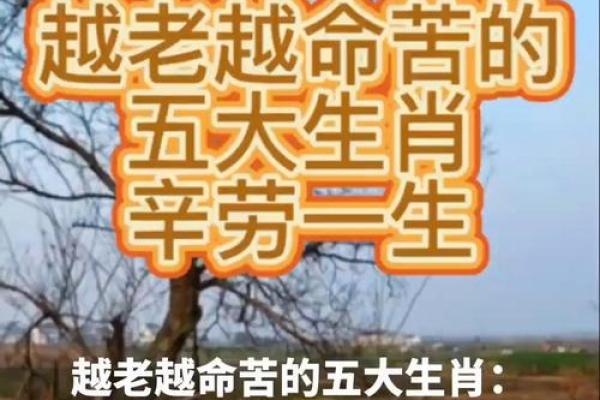 最苦命的两大生肖女(最苦命的两大生肖女是什么)