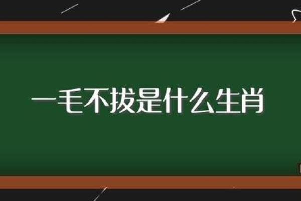 春蛙秋蝉是什么生肖