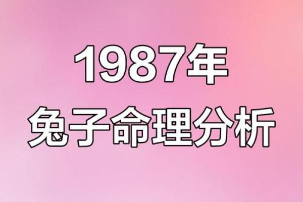 ‌1987年属什么生肖 → 兔（1987丁卯，火兔命格）‌