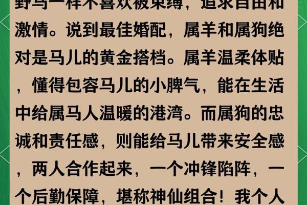 属马人最佳配偶属相 属马人最佳配偶属相鸡