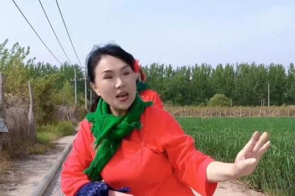 回娘家小品表演 回娘家小品表演比赛