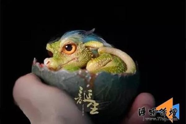 属小龙的几月份出生好 属小龙的几月出生最好