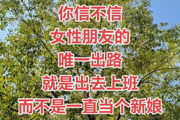 回娘家的路是用钱铺出来的 回娘家的路是什么路