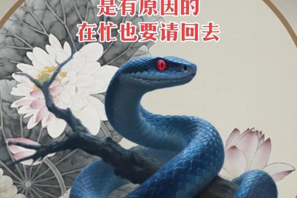 77属蛇最难熬的是哪一年 77年属蛇命苦