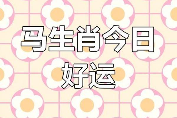 2013属马的运程 2013属马今年几岁