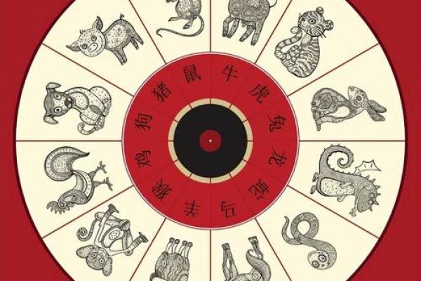 2024最新12生肖号码
