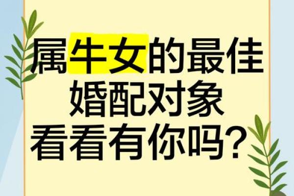 97年属牛的属相婚配表 97年属牛的婚配表大全集