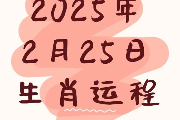 72年出生属鼠者2023年每月运程预测，如何化解太岁冲煞提运势