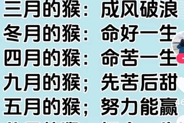十月怀胎打一动物(十月怀胎打一最佳生肖)