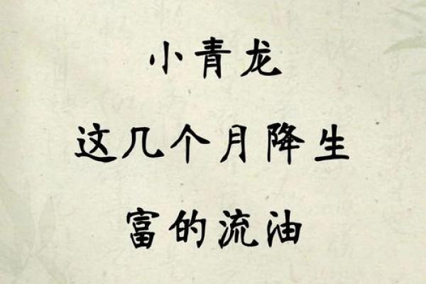 2024年属龙男宝宝生在几月最好 2024年属龙宝宝几月出生最好