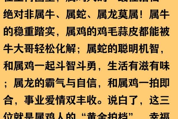 属鸡和属龙的合不合财运 属鸡和属龙的合不合财运呢