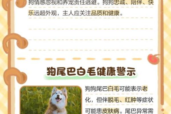 小狗白尾巴尖是不是不吉利 狗白尾巴尖怎么弄掉 小狗白尾巴尖是不是不吉利 狗白尾巴尖怎么弄掉