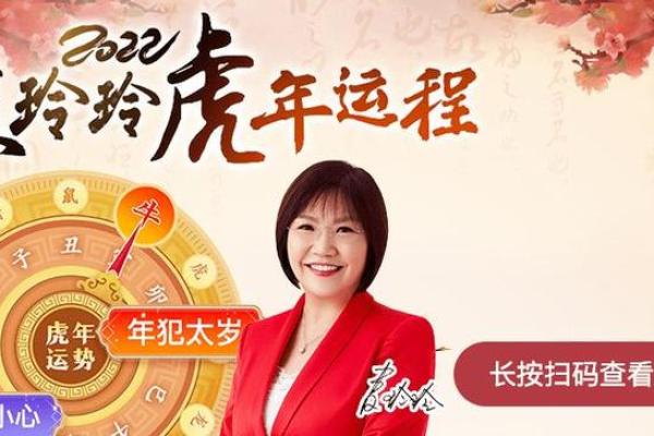 麦玲玲2013年生肖运程(麦玲玲2013年生肖运势详解)