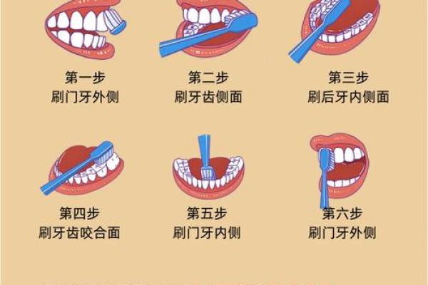 中年掉牙是不是不吉利 中年掉牙还能长出来吗