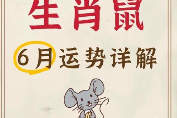 2025年属鼠人的全年运势完整版财运事业健康感情
