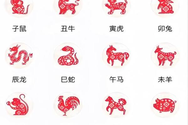 ‌小手小脚是什么生肖 → 鼠‌（鼠目寸光，行事拘谨）