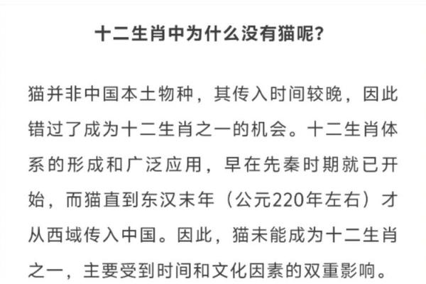 不能养猫的三个属相 不能养猫的三个属相女