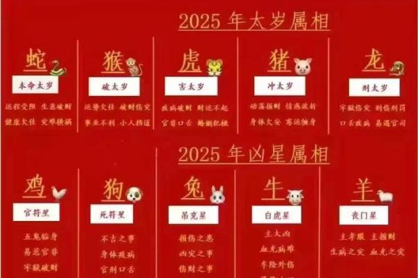 十二生肖犯太岁(今年什么生肖犯太岁)
