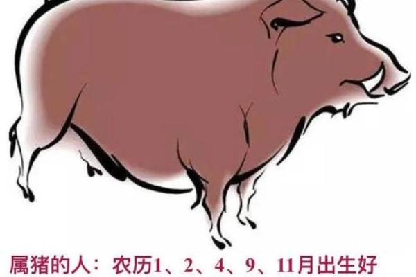 溜干二净猜一正确生肖