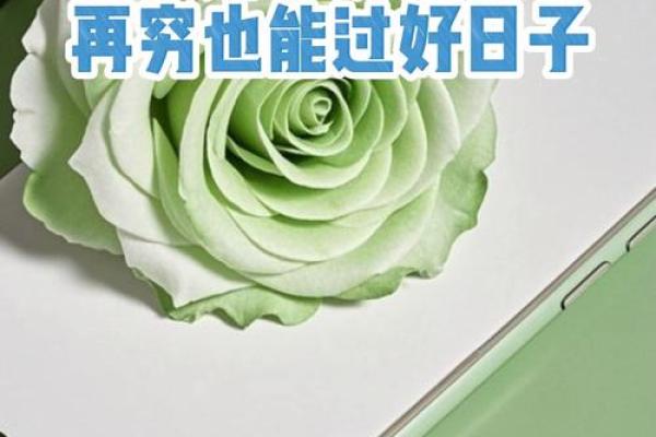 有横财的三大属相 有横财的三大属相是哪三个