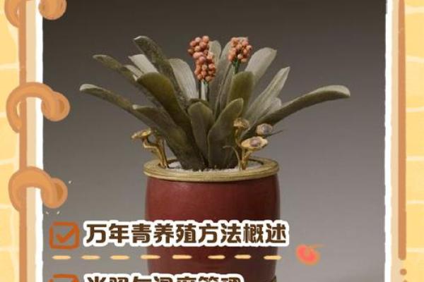 万年青什么属相不能养 万年青属怎么养