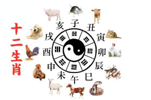 不能住东户的属相 适合住东户的属相