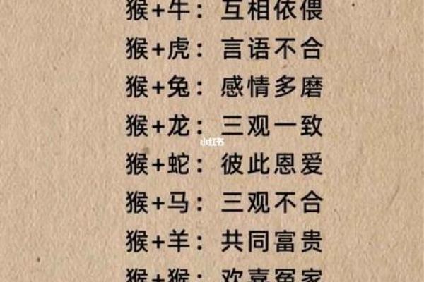 猴猴的属相合不合 猴相和的属相