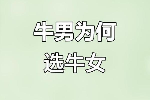 牛女和牛男的属相合不合 牛女和牛男配吗