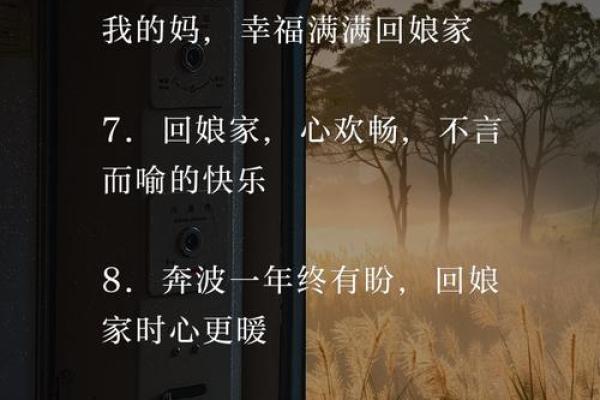 回娘家的意思 回娘家 意思