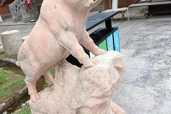 众生所归三大生肖 众生所归是什么意思