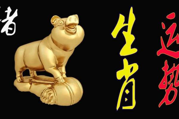 属猪2022年的运势 属猪2022年有一灾