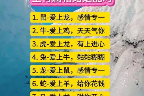 龙蛇属相合不合婚姻呢 龙蛇属相合不合婚姻呢女孩