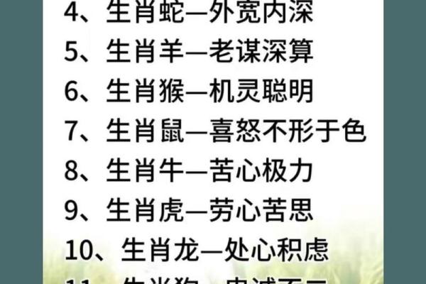 目光远大的生肖(目光远大的生肖)