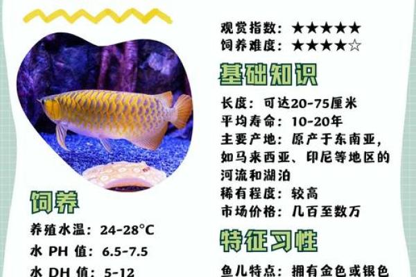 龙鱼最忌三种属相 龙鱼不能吃