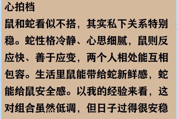 老鼠与鸡的属相合不合 老鼠和鸡的属相合不合