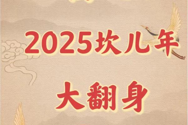 2025属蛇的大忌颜色 2025属蛇的大忌颜色是自己买还是要属什么