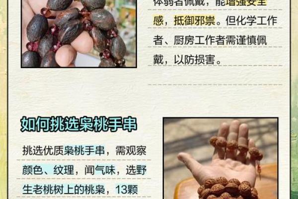 枭桃什么属相不能戴 枭代表什么事物