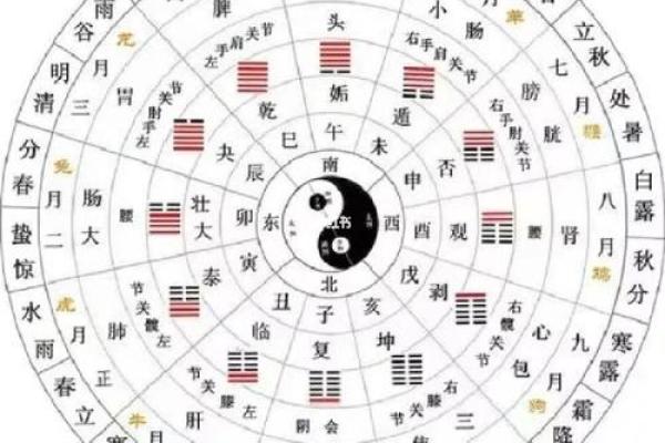 一年四季分别对应哪些生肖动物，它们各自代表什么寓意？