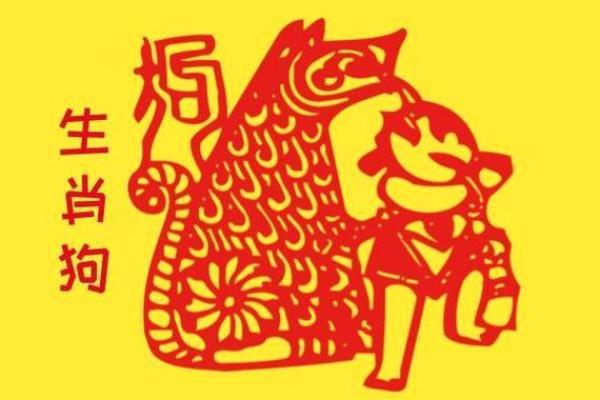 想要了解东张西望所对应的生肖，应该怎么查找答案？